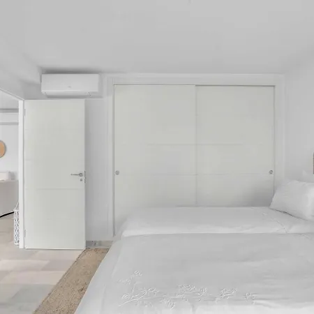 Polo 5e Jacaranda